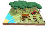 Thumbnail da animao Tudo sobre desmatamento zero 