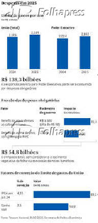 Despesas em 2025