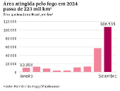 rea atingida pelo fogo em 2024 passa de 223 mil km