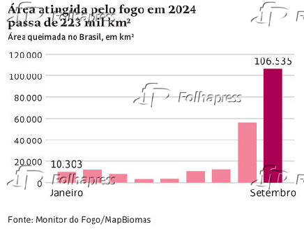 rea atingida pelo fogo em 2024 passa de 223 mil km