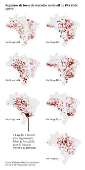 Registros de focos de incndio no Brasil