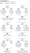 Pontos de discrdia: o que querem Rssia e Ucrnia em negociao