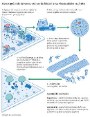 Como podas de rvores e sobras de feiras livres viram adubo orgnico