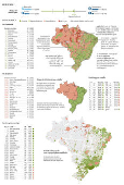 Ranking de eficincia dos municpios brasileiros em 2024