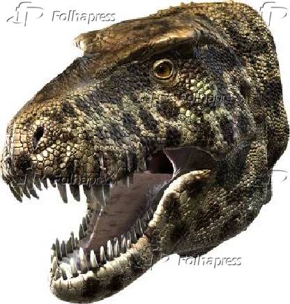 Cabea de um Tyrannosaurus rex com fundo branco
