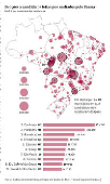 Doaes a candidatos feitas por multados pelo Ibama