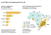 Brasil lidera produo global de caf