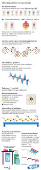 Computao quntica e a evoluo dos qubits