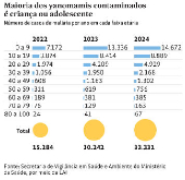 Maioria dos yanomamis contaminados  criana ou adolescente