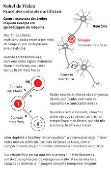 Nobel de Fsica: Neurnios naturais e artificiais