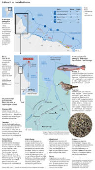 O bloco 59 e a costa biodiversa