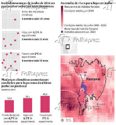 Incndios como os de junho de 2024 no Pantanal se tornaram mais frequentes