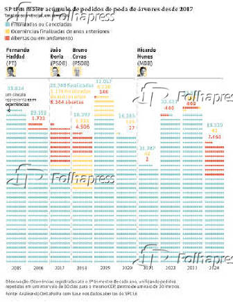 SP tem maior acmulo de pedidos de poda de rvores desde 2017