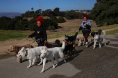 A predicted major wind storm arrives in southern California