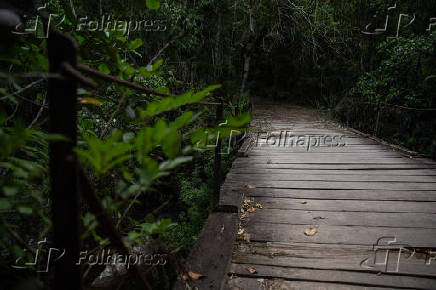 Parque Nacional de Itatiaia (RJ)