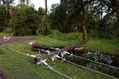 Aftermath of Hurricane Helene in Crawfordville