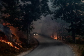 Forest fire in in Bornes de Aguiar, Portugal