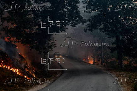 Forest fire in in Bornes de Aguiar, Portugal