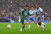 Premier League - Brighton & Hove Albion v Tottenham Hotspur