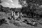 Coveiros carregam caixo no cemitrio So Luiz (SP)