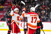 NHL: Calgary Flames at Ottawa Senators