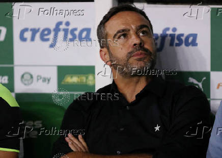 Brasileiro Championship - Palmeiras v Botafogo