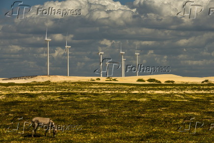 Torres geradoras de energia, no Parque Elico de Paracuru