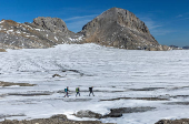 FILE PHOTO: Members of the Swiss Glacier Monitoring Network arrive on the Plaine Morte glacier