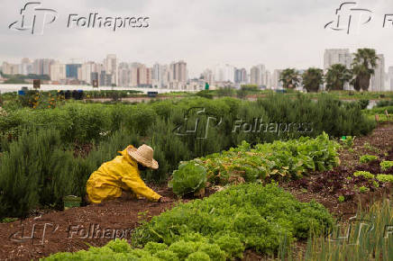 Especial Sustentabilidade - Folhapress