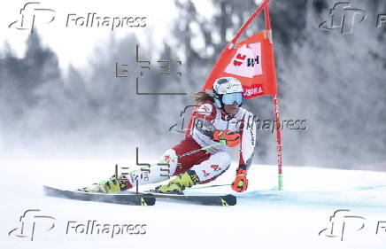 FIS Alpine Skiing World Cup in Kranjska Gora