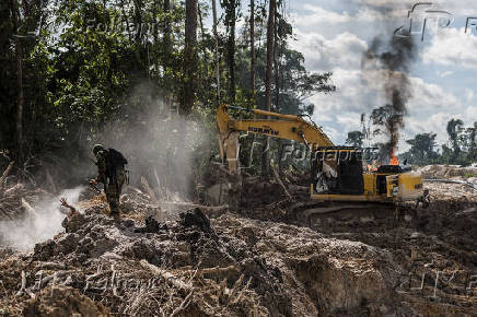 Investigao Ibama: esta foto foi agraciada com o Prmio Folha de 2017