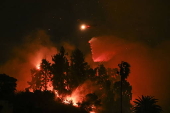 Firefighters battle the Sunset Wildfire in Los Angeles, California