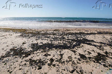 Manchas de leo na praia da Pituba, em Salvador (BA)