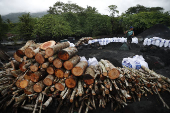 Manglares, el desafo de Panam en conservarlos y aprovechar sus servicios ambientales