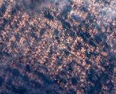 A satellite image shows smoke covering houses after devastating wildfires, in Altadena