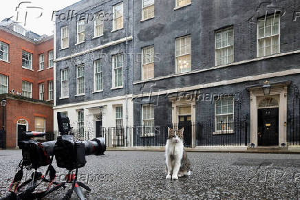 Larry the cat sits outside 10 Downing Street in London