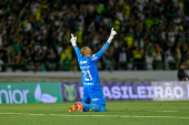 Palmeiras X Atltico MG