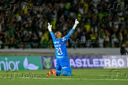 Palmeiras X Atltico MG