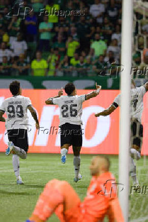 Campeonato Brasileiro 2024 - Palmeiras vs Botafogo