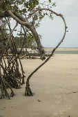 Praia de Barra Velha na cidade de Soure, na Ilha de Maraj (PA)