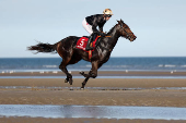 Laytown Racing