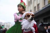 Christmas parade in La Paz