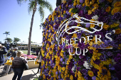 Horse Racing: Breeders' Cup Championship-Workouts