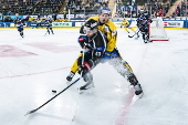 Spengler Cup 2024 - HC Fribourg-Gotteron vs HC Davos