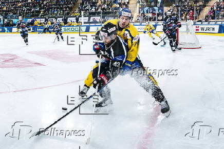 Spengler Cup 2024 - HC Fribourg-Gotteron vs HC Davos