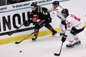 Ice hockey friendly international - Germany vs Austria