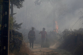 Declarado incendio en el centro de Portugal