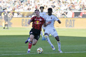 MLS: MLS Cup-New York Red Bulls at LA Galaxy