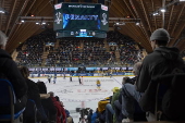 Spengler Cup 2024 - Straubing Tigers vs HC Davos