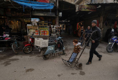 A man pushes a boy standing on a cart along the market , in Douma